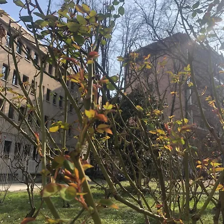 Appartamento Missori Rose Garden View *