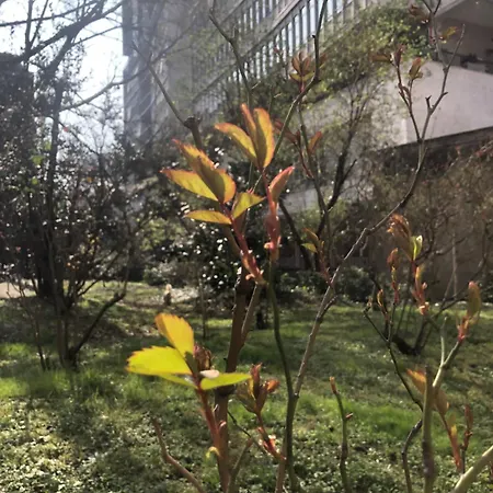 Appartamento Missori Rose Garden View