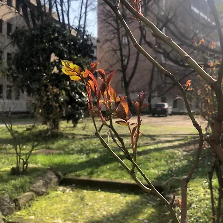 Missori Rose Garden View * Milan
